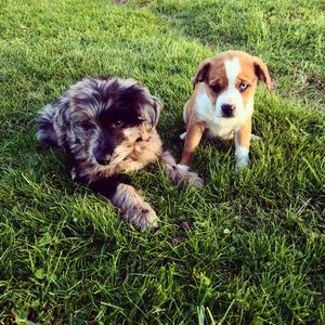 Meet your Posher, Mya